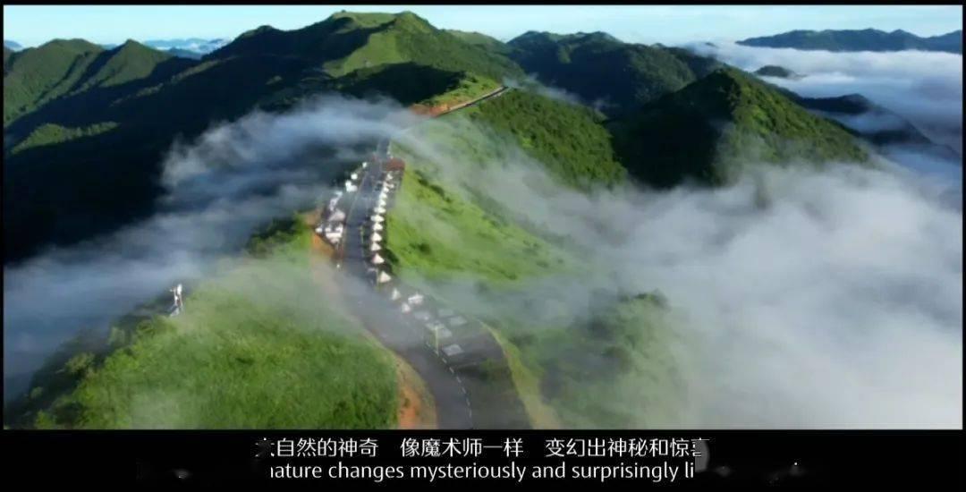 世纪之案